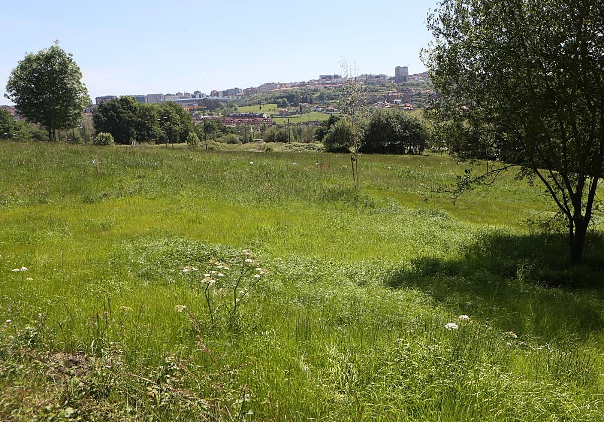 Una de las parcelas de la calle Muros del Nalón.