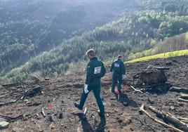 Dos guardas civiles examinan los restos calcinados de un bosque en el occidente asturiano.