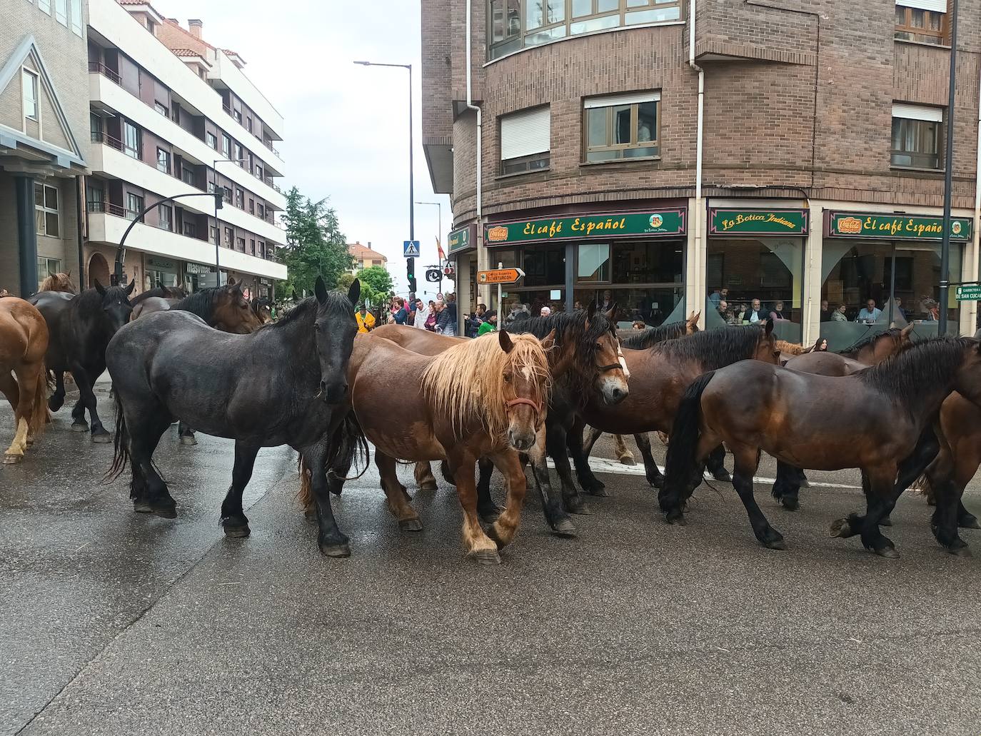 Desfile de carros y ganado en la feria de San Isidro de Llanera