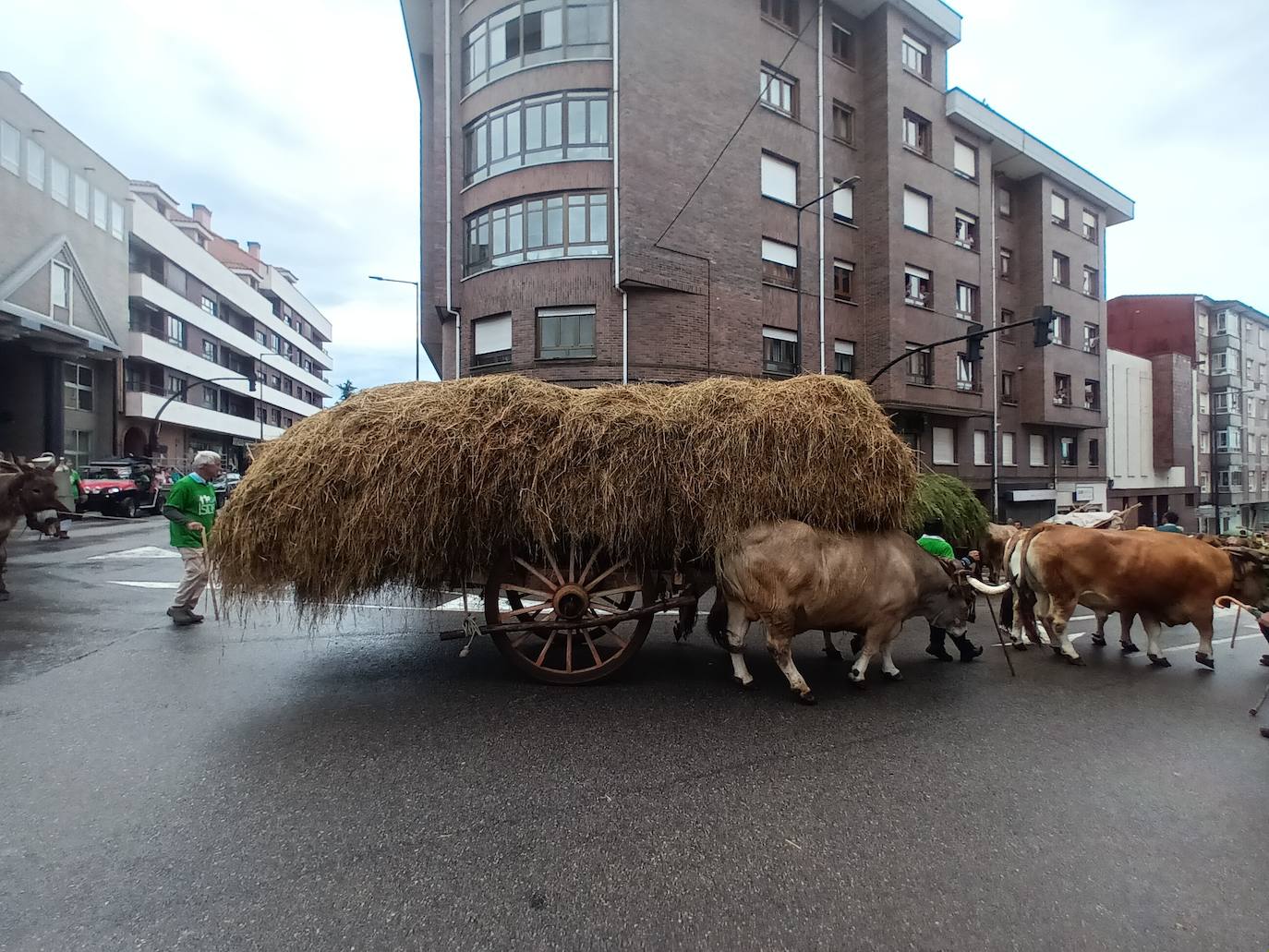 Desfile de carros y ganado en la feria de San Isidro de Llanera