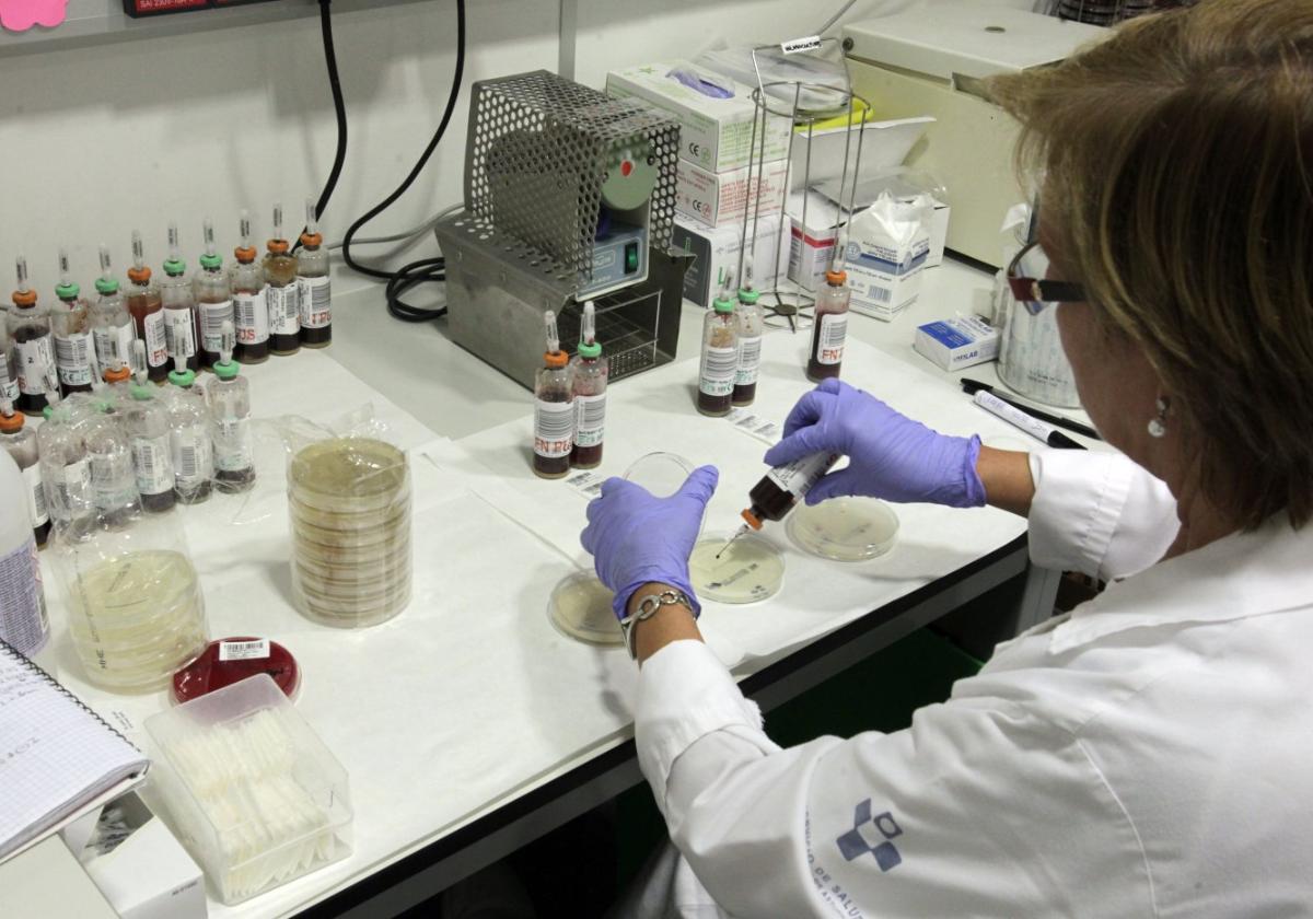 Técnicos de laboratorio del Hospital Universitario Central de Asturias, realizando un hemocultivo.