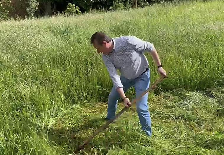 «Tú no sabes segar, Marcelino»