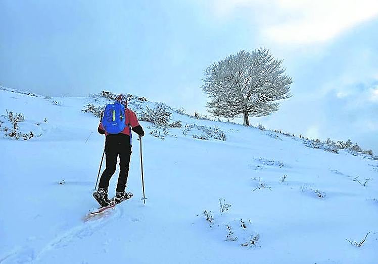 VITAL. La montaña es su alfa y su omega. En la imagen, haciendo esquí sobre raquetas en su Laviana natal.