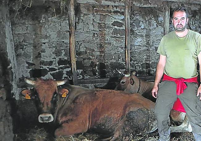 David Pérez Naya Ganadero