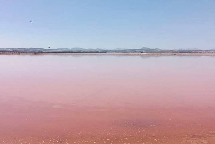 Las salinas de Santa Pola.