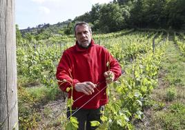 Víctor Méndez, en su viñedo.