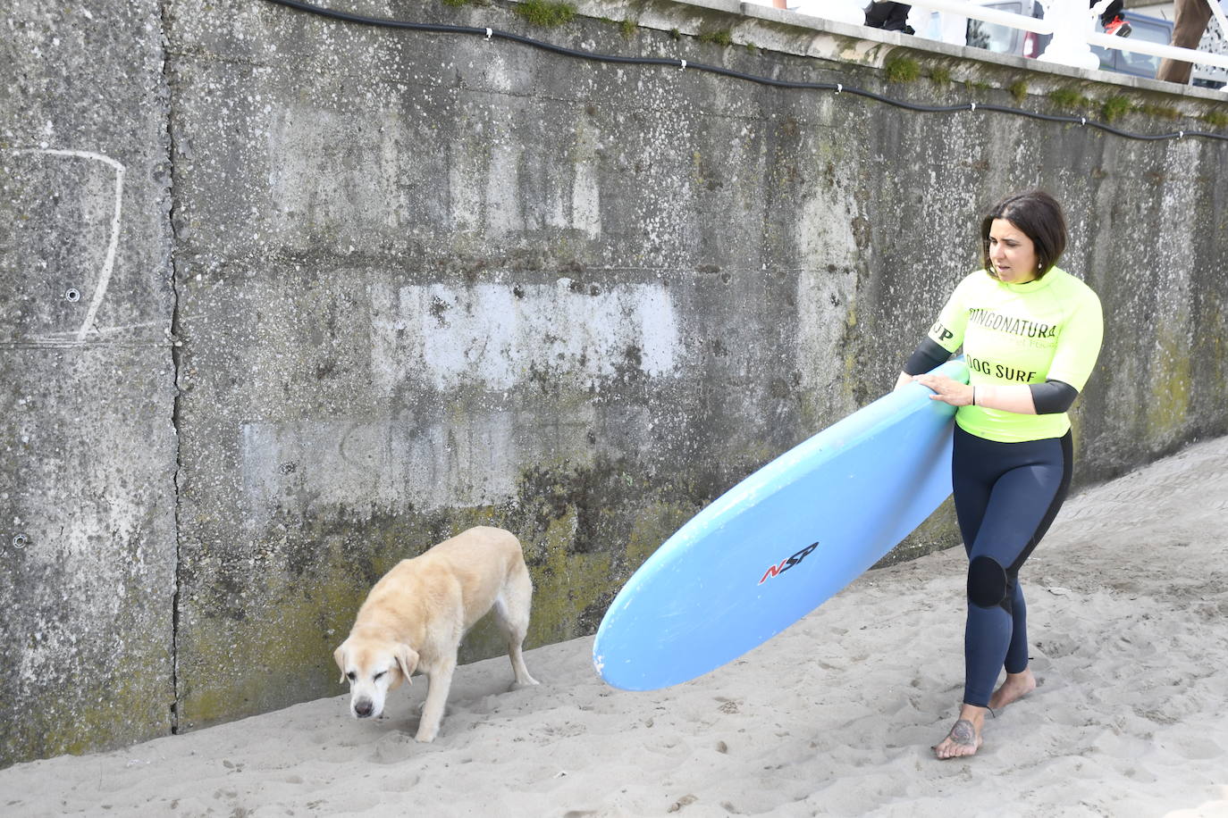 Así ha sido el campeonato europeo de surf para perros en Salinas