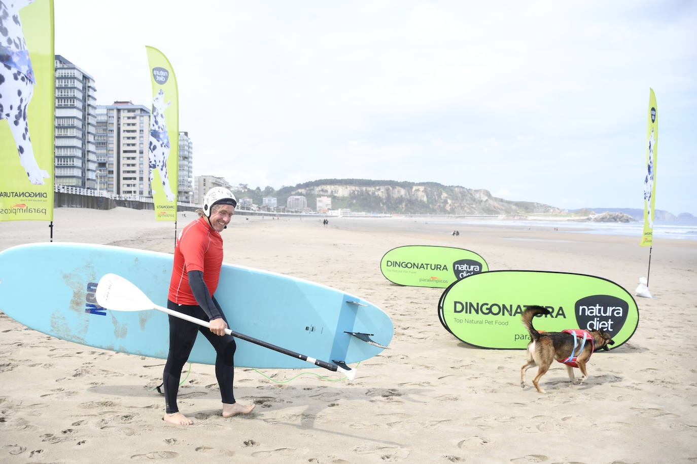 Así ha sido el campeonato europeo de surf para perros en Salinas