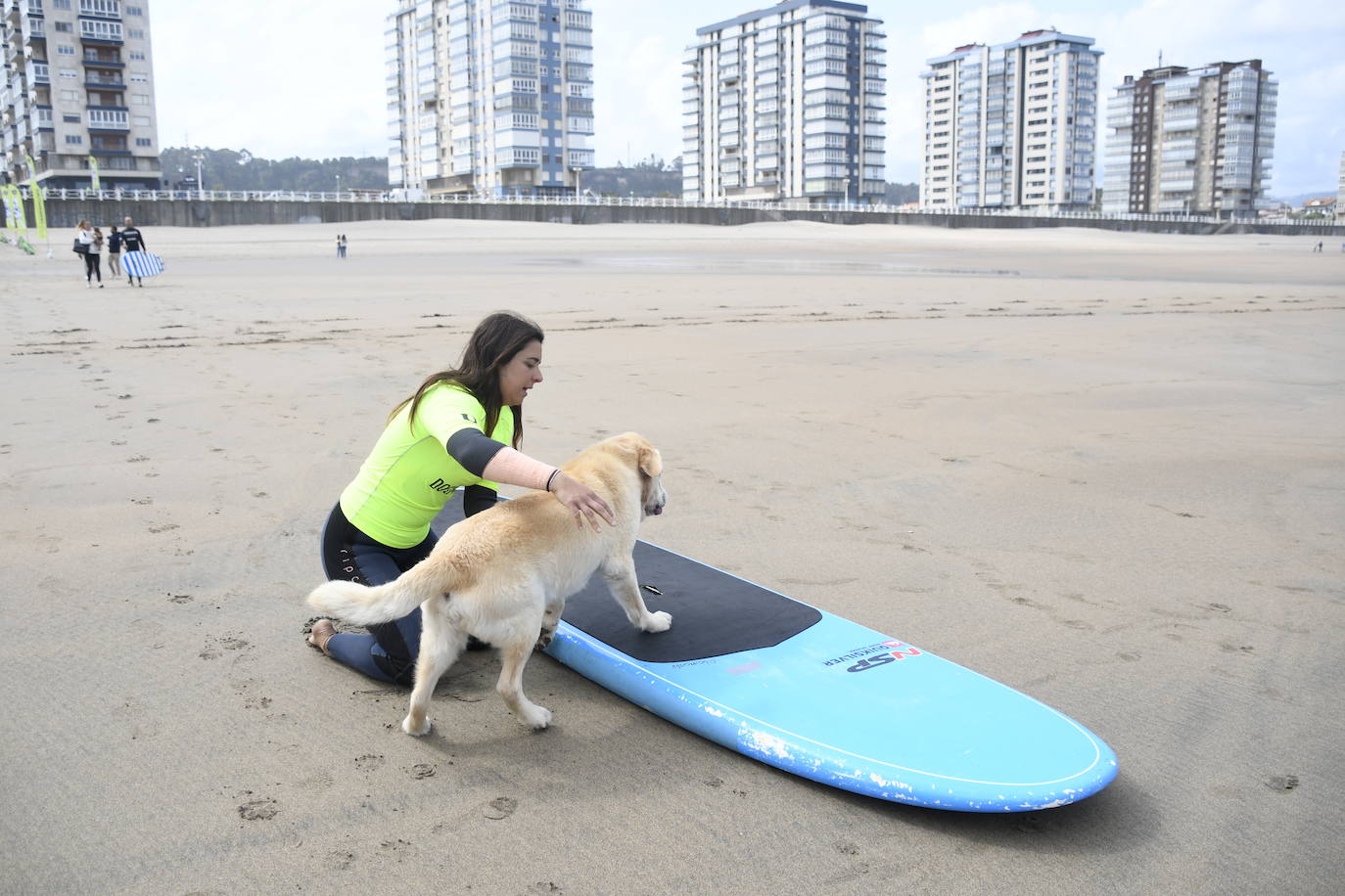 Así ha sido el campeonato europeo de surf para perros en Salinas