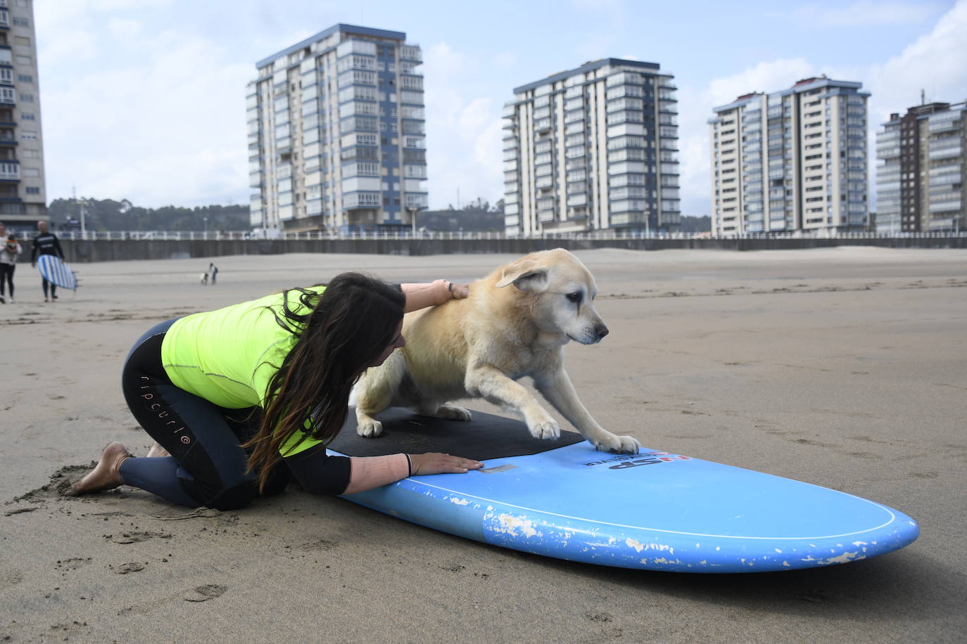 Así ha sido el campeonato europeo de surf para perros en Salinas