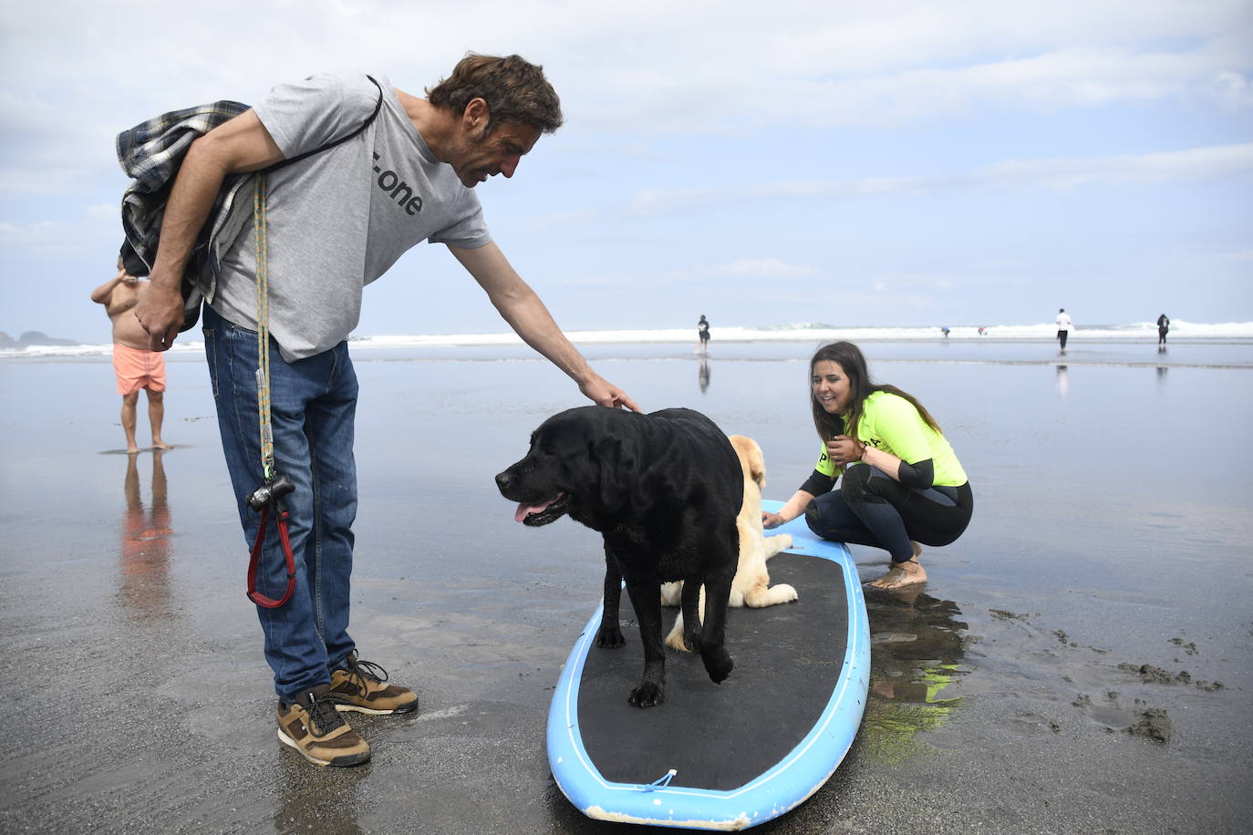 Así ha sido el campeonato europeo de surf para perros en Salinas