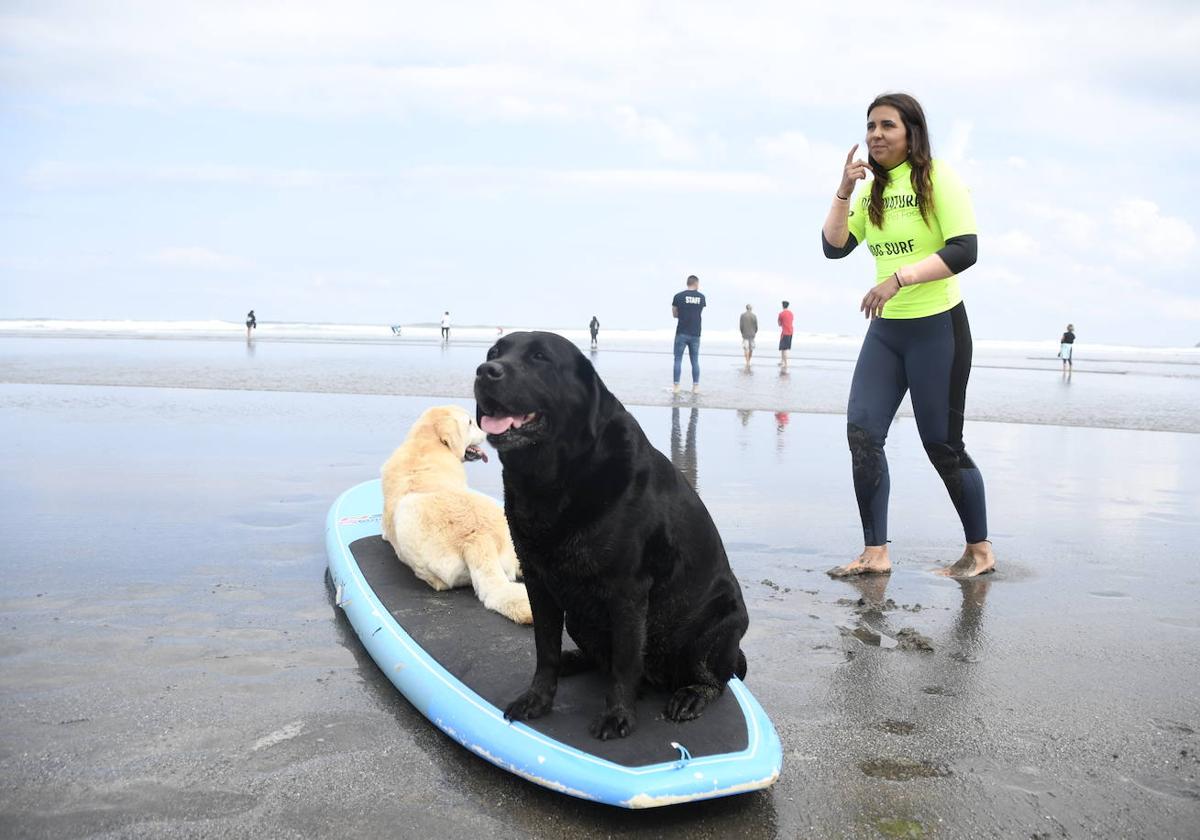 Así ha sido el campeonato europeo de surf para perros en Salinas