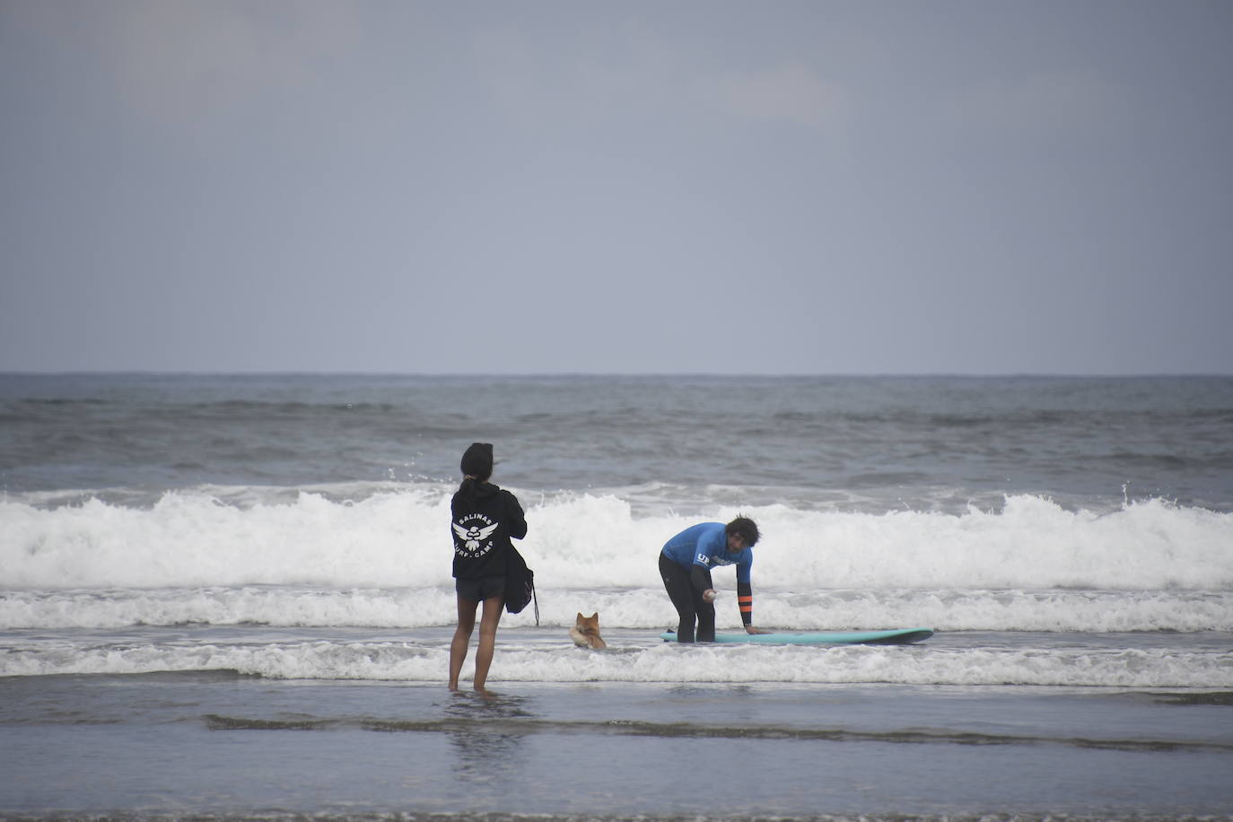 Así ha sido el campeonato europeo de surf para perros en Salinas