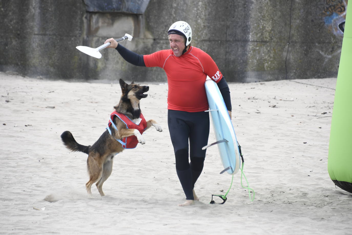 Así ha sido el campeonato europeo de surf para perros en Salinas