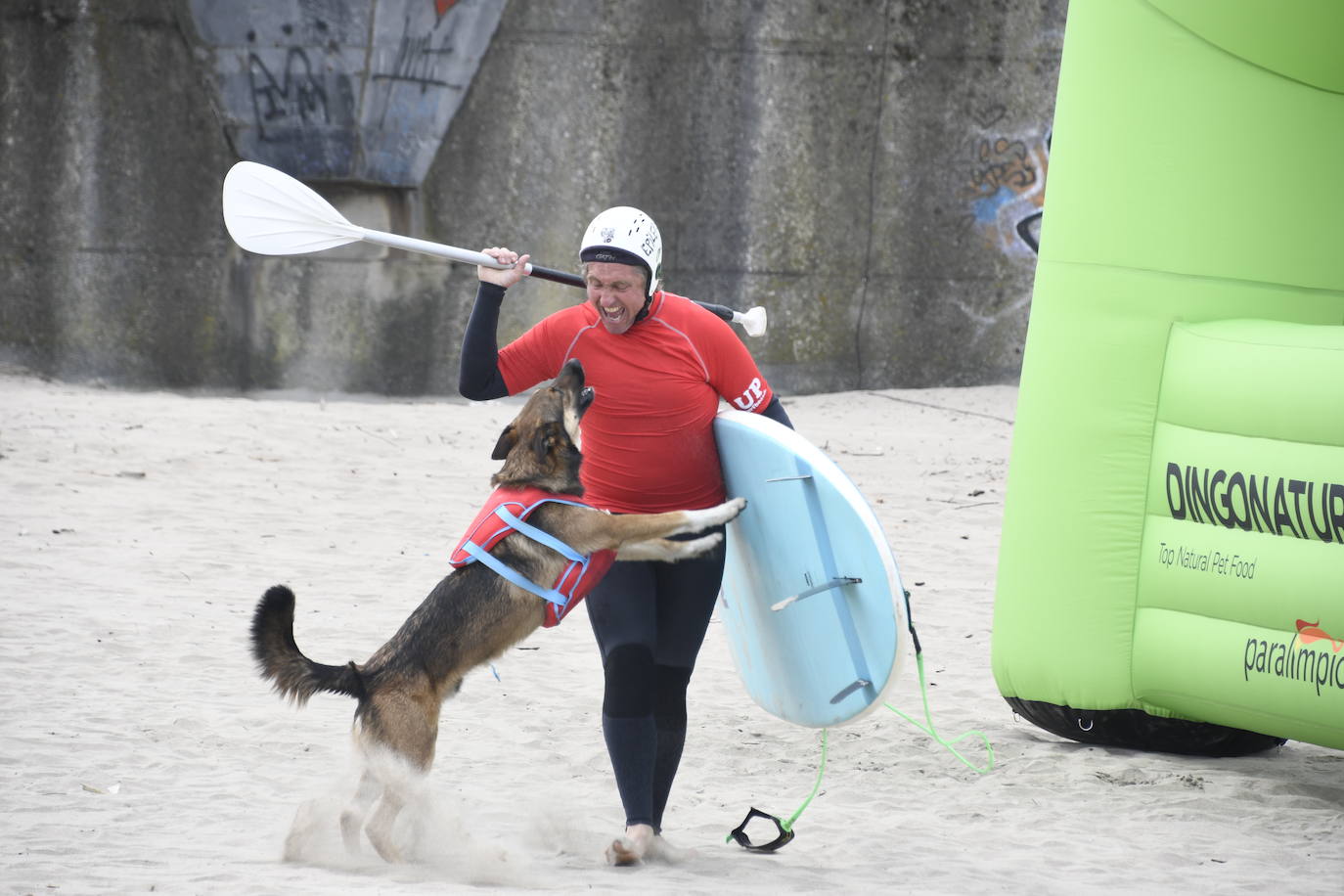 Así ha sido el campeonato europeo de surf para perros en Salinas