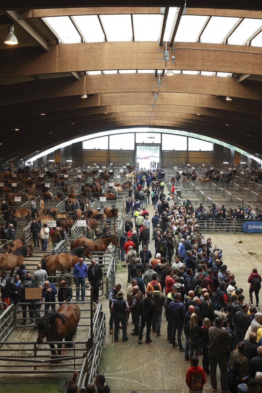 Espectaculares caballos en el Concurso de Ganado Equino de Siero