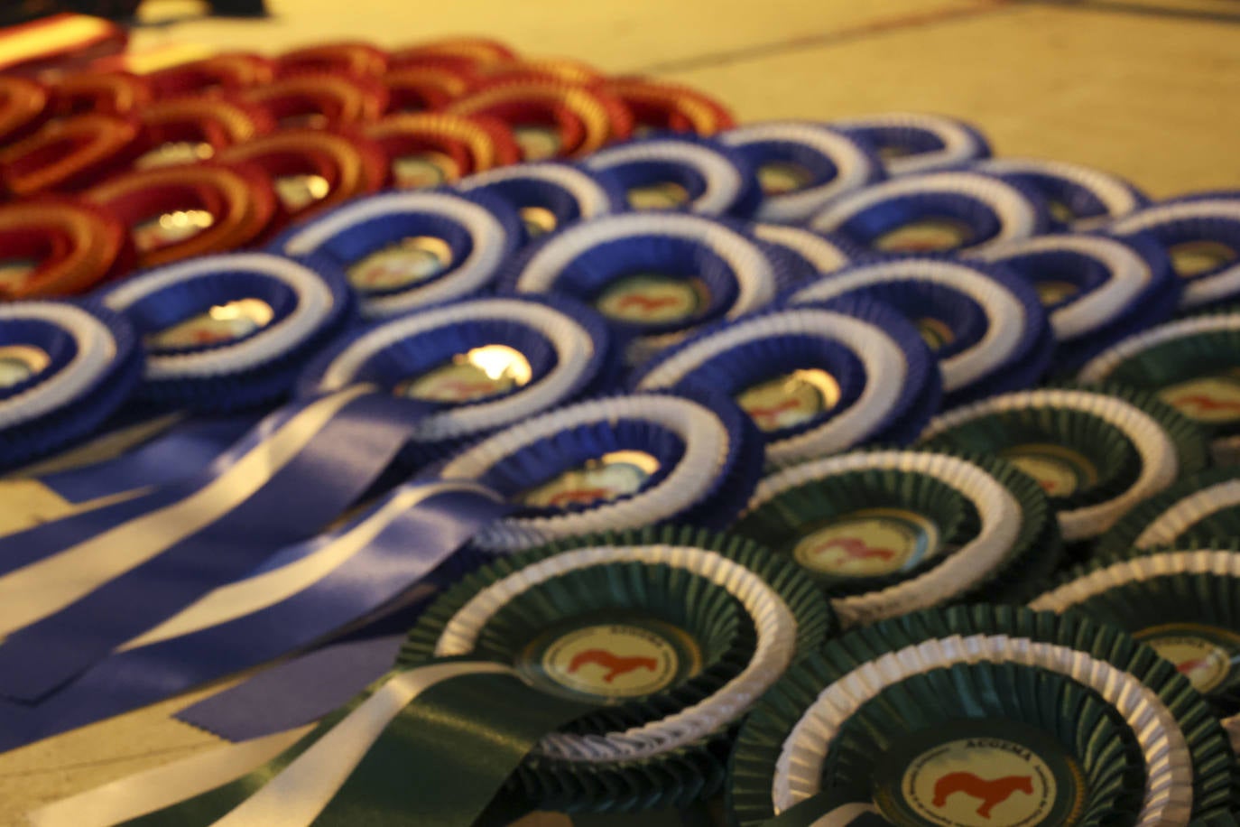 Espectaculares caballos en el Concurso de Ganado Equino de Siero