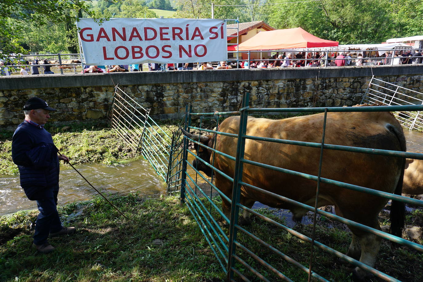 Así fue la Feriona de Corao