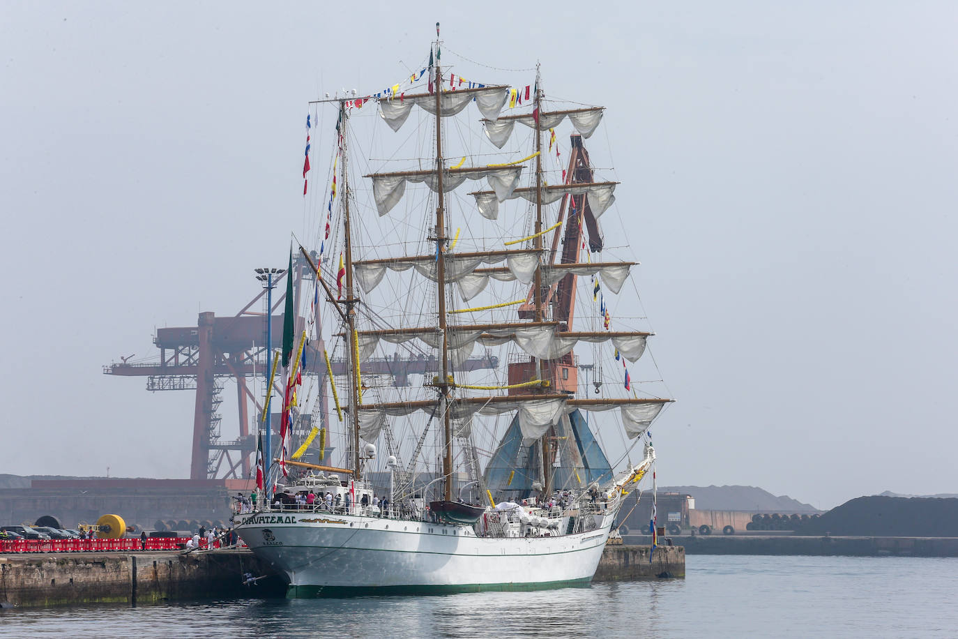 El &#039;caballero de los mares&#039; despliega su esplendor en Gijón