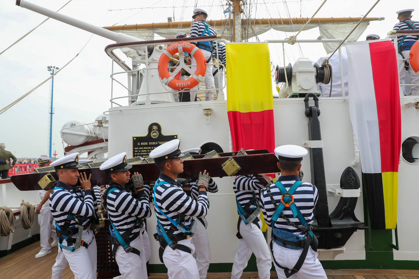 El &#039;caballero de los mares&#039; despliega su esplendor en Gijón