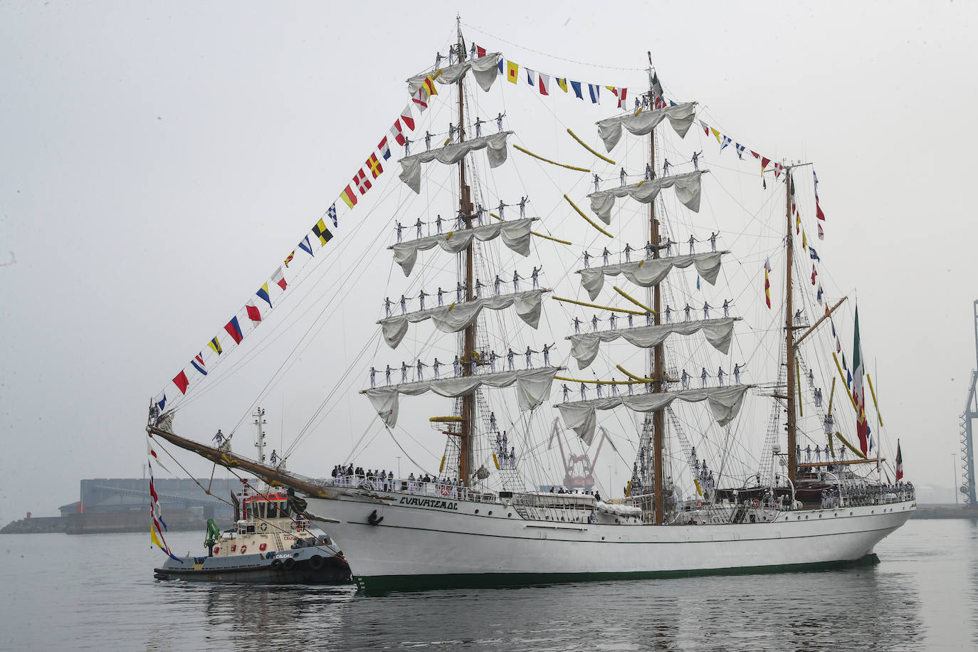 El &#039;caballero de los mares&#039; despliega su esplendor en Gijón