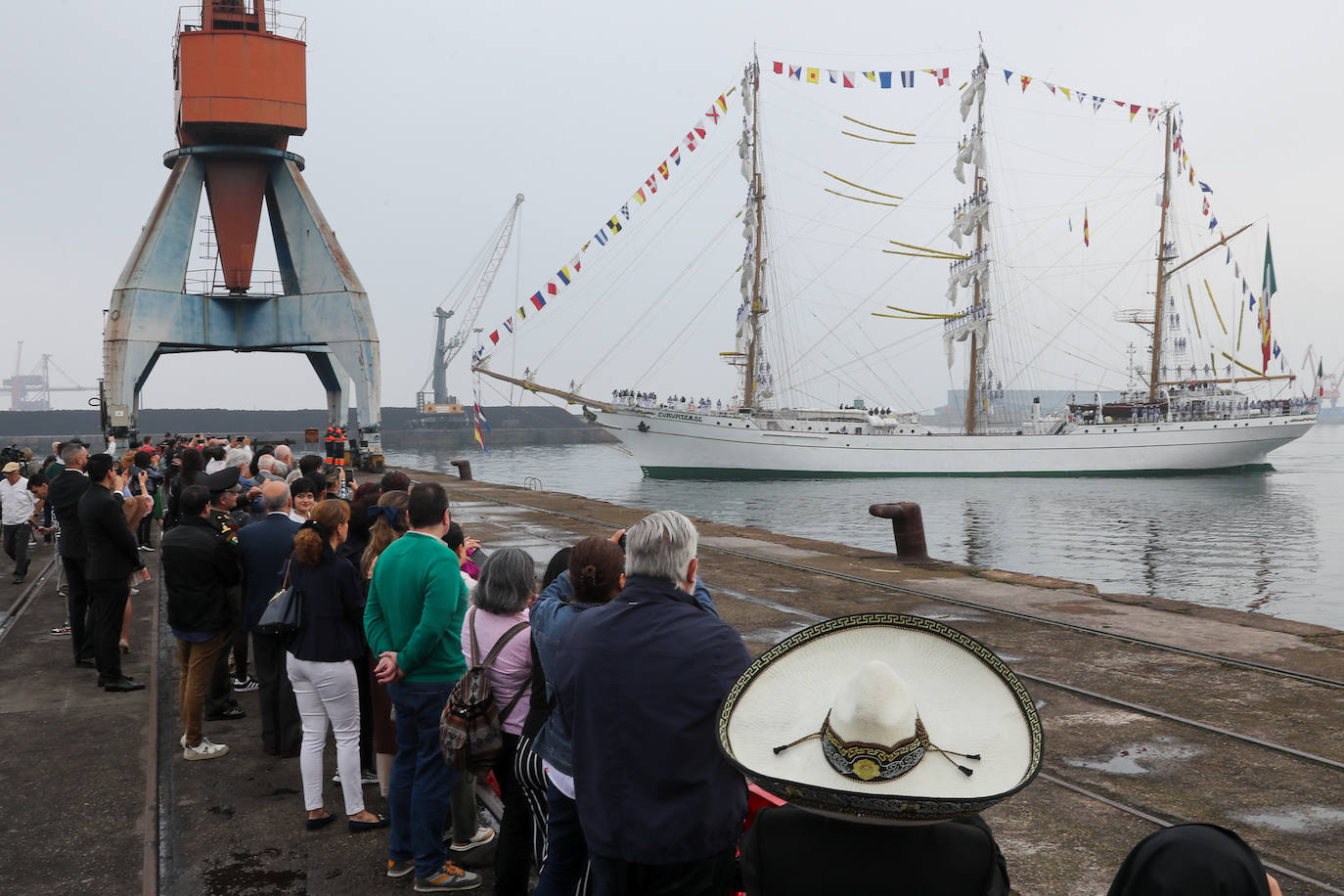 El &#039;caballero de los mares&#039; despliega su esplendor en Gijón