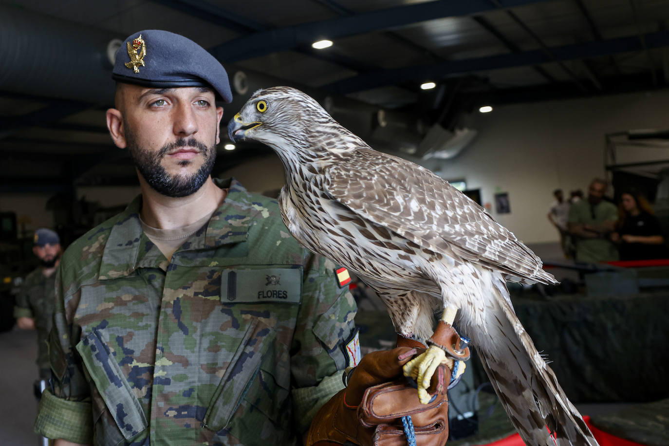 Las Fuerzas Armadas se despliegan en el recinto ferial de Gijón