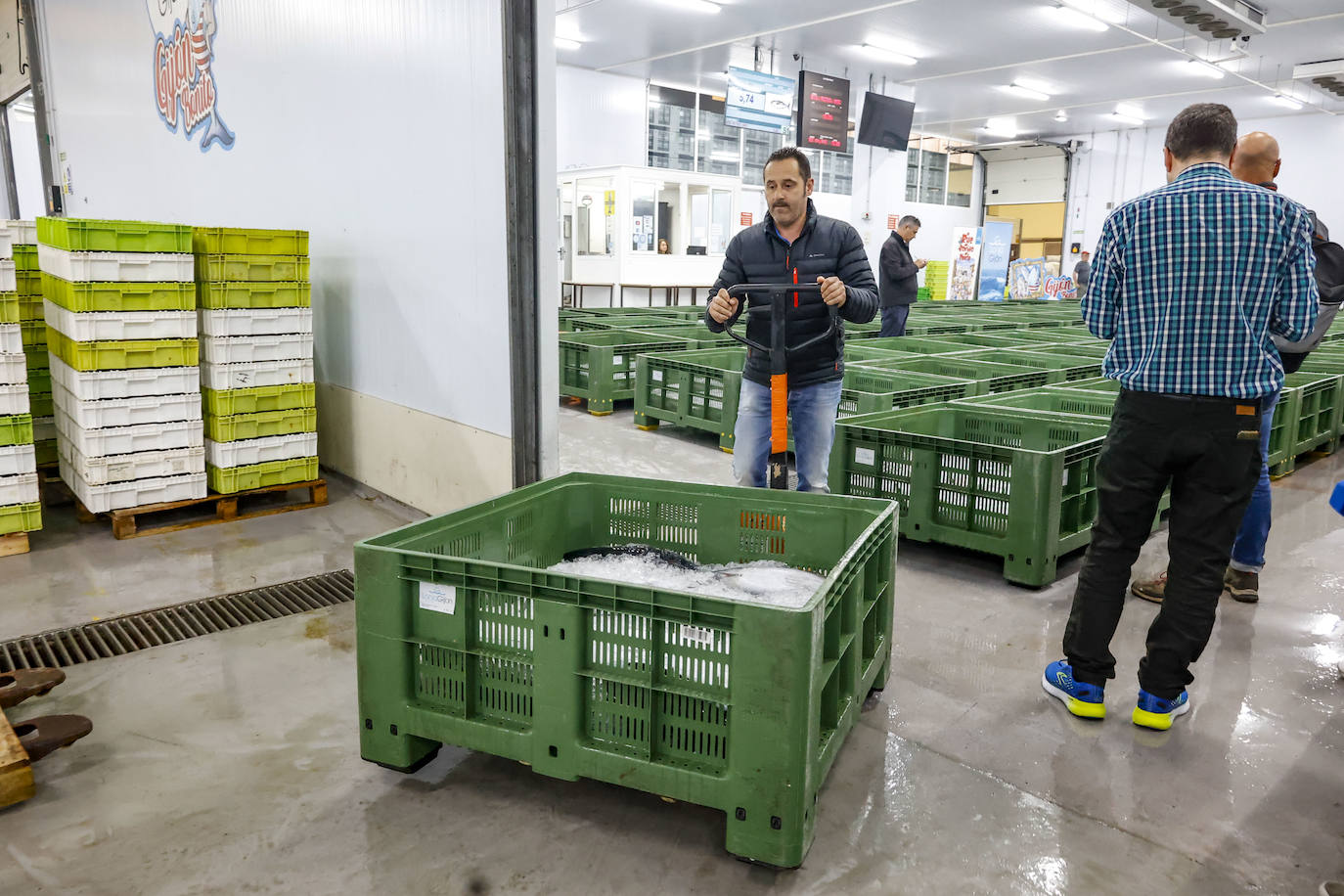 El primer bonito de Gijón, a 14,91 euros el kilo