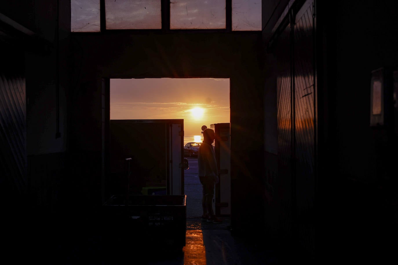 El primer bonito de Gijón, a 14,91 euros el kilo