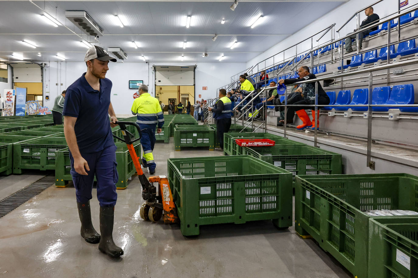 El primer bonito de Gijón, a 14,91 euros el kilo