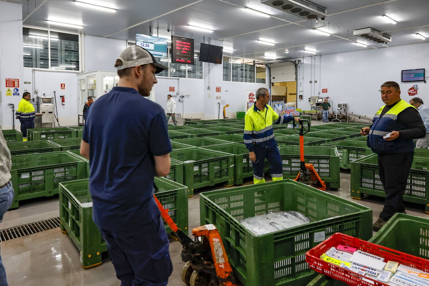 El primer bonito de Gijón, a 14,91 euros el kilo