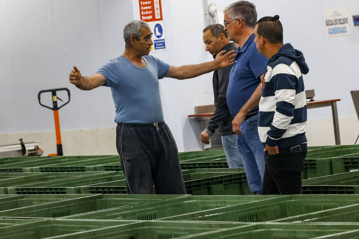 El primer bonito de Gijón, a 14,91 euros el kilo