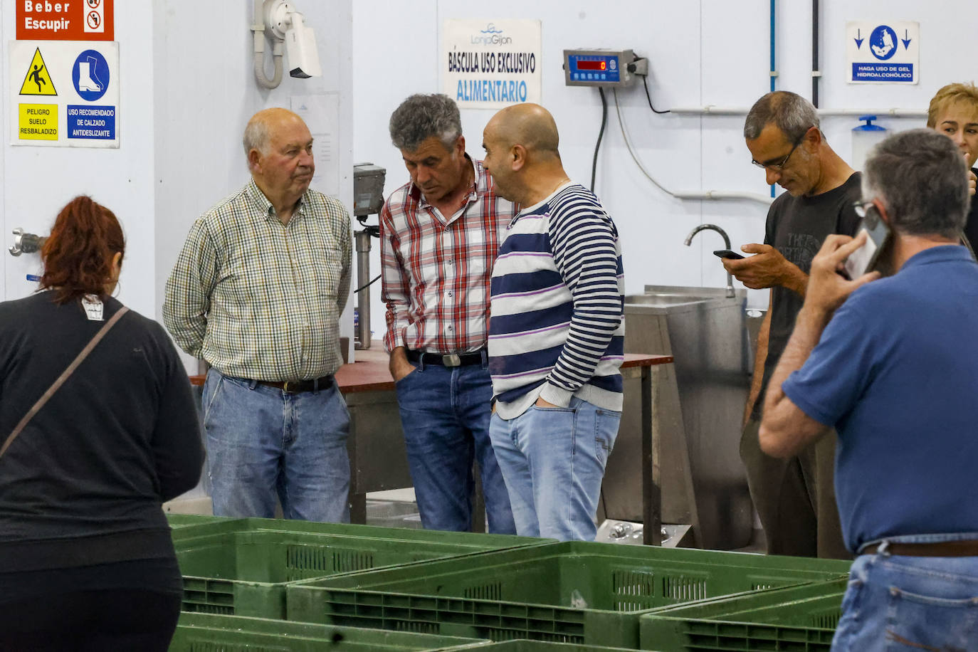 El primer bonito de Gijón, a 14,91 euros el kilo
