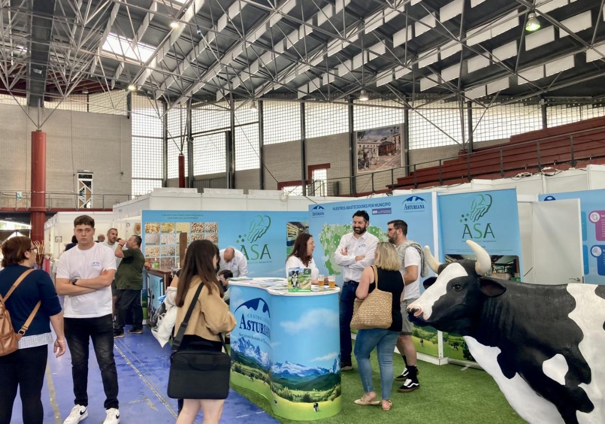 Uno de los estands que forman parte de la Feria de Muestras de Vegadeo.