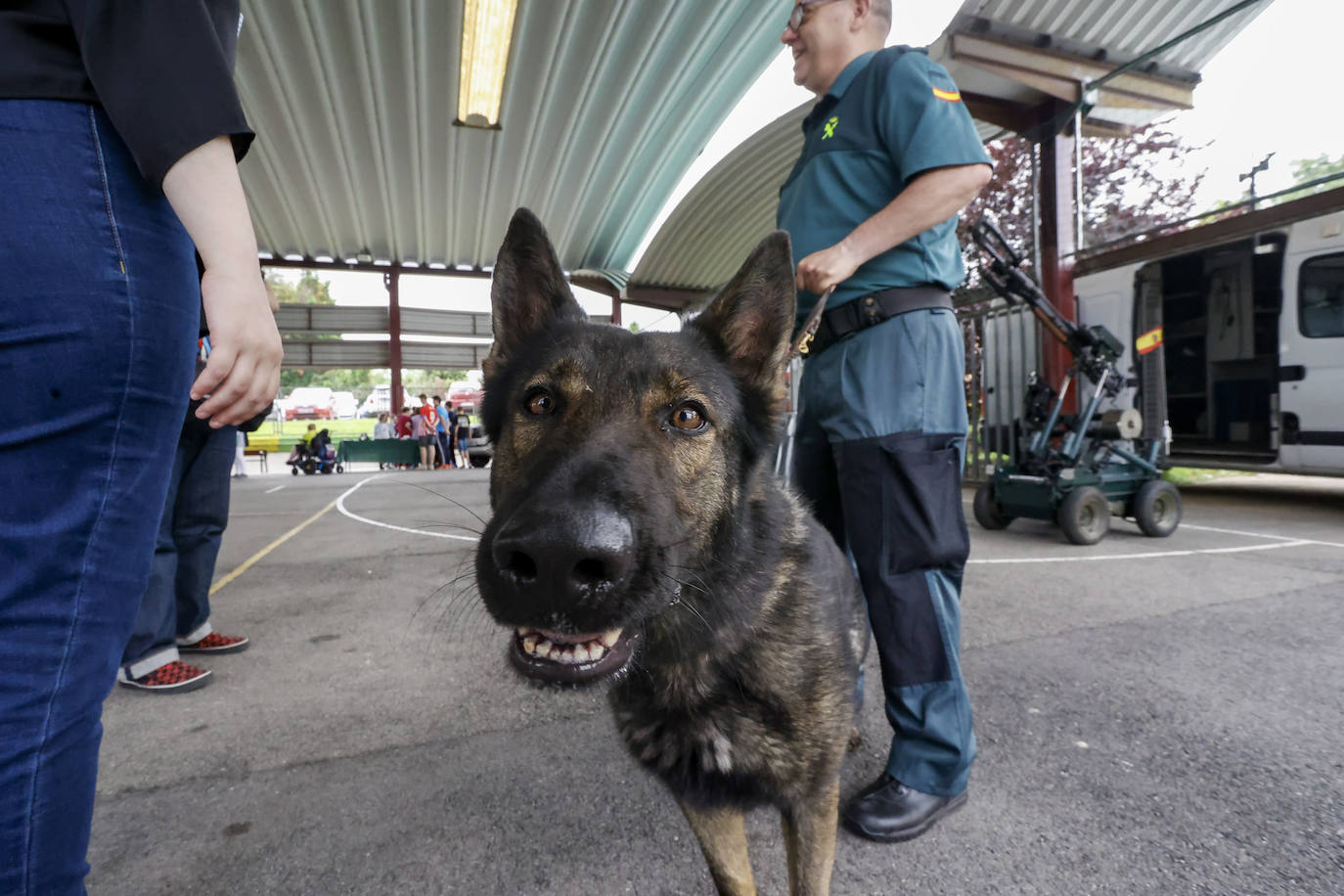 La Guardia Civil impresiona a los escolares de Castiello