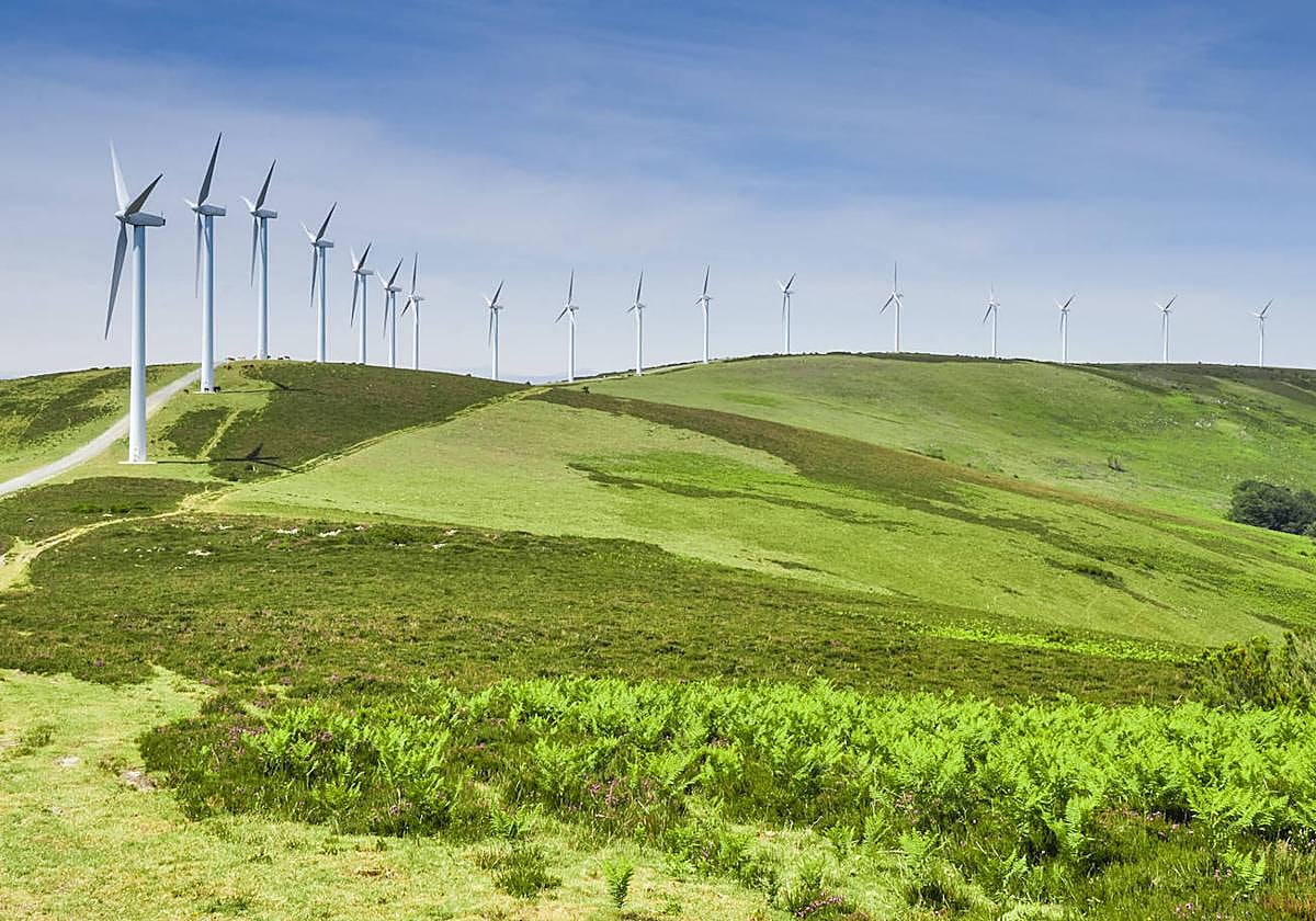Precio de la luz por horas del martes, 13 de junio de 2023.
