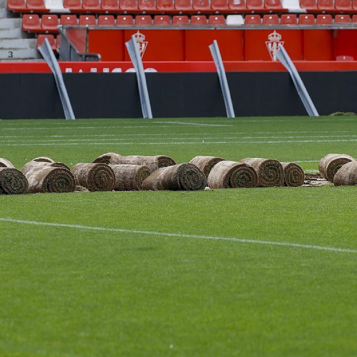 La reforma integral del césped de El Molinón, en marcha