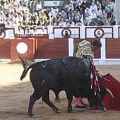 Los organizadores de la Feria de Begoña trabajan para que los toros vuelvan a Gijón entre el 14 y el 17 de agosto