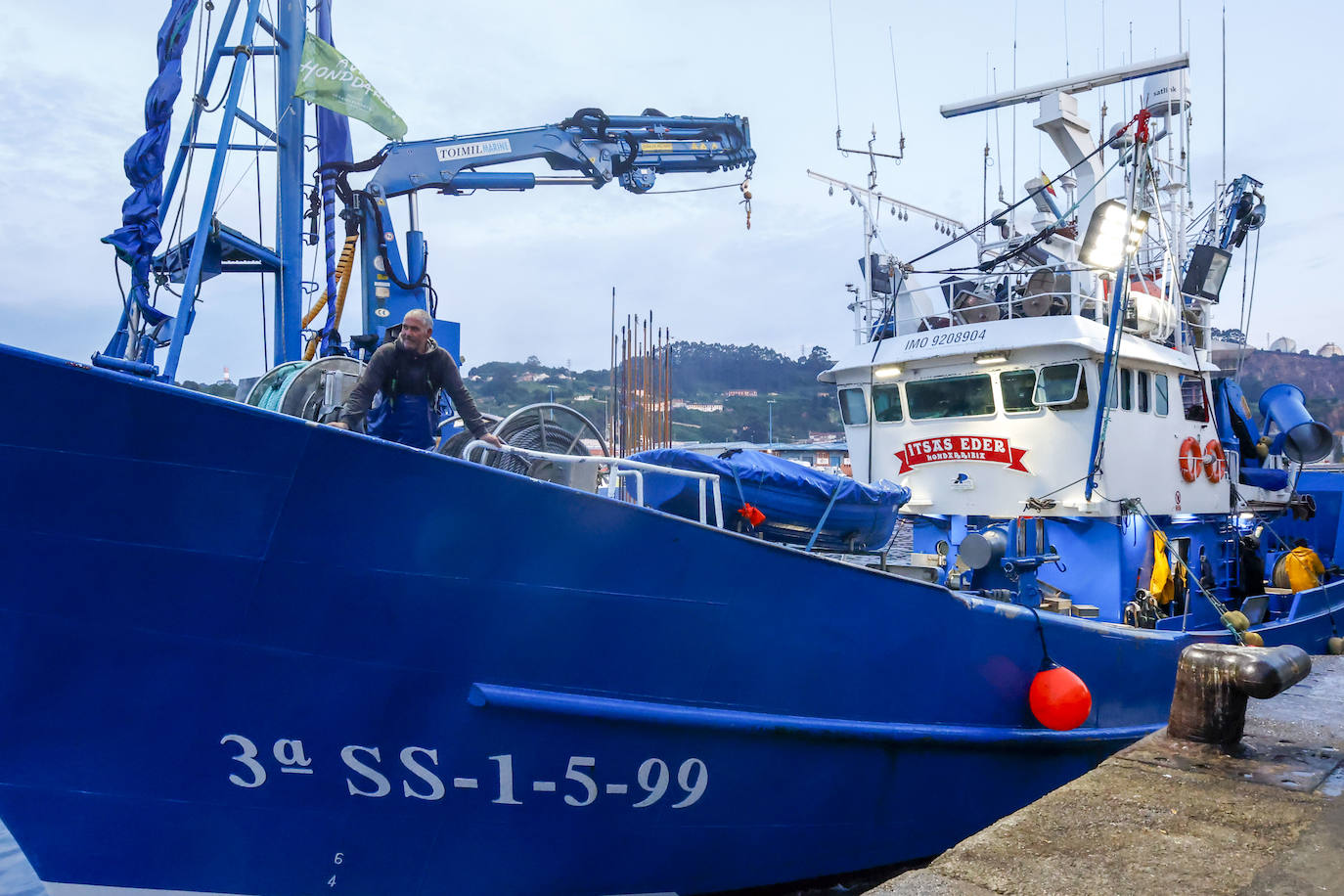 40.000 kilos en la primera gran subasta de bonito en la rula de Gijón