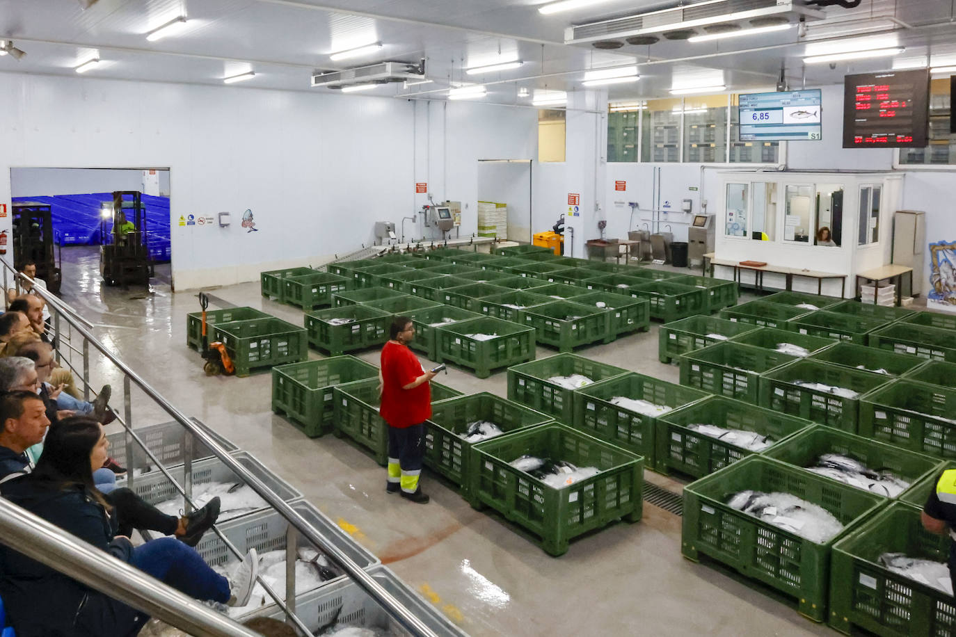 40.000 kilos en la primera gran subasta de bonito en la rula de Gijón