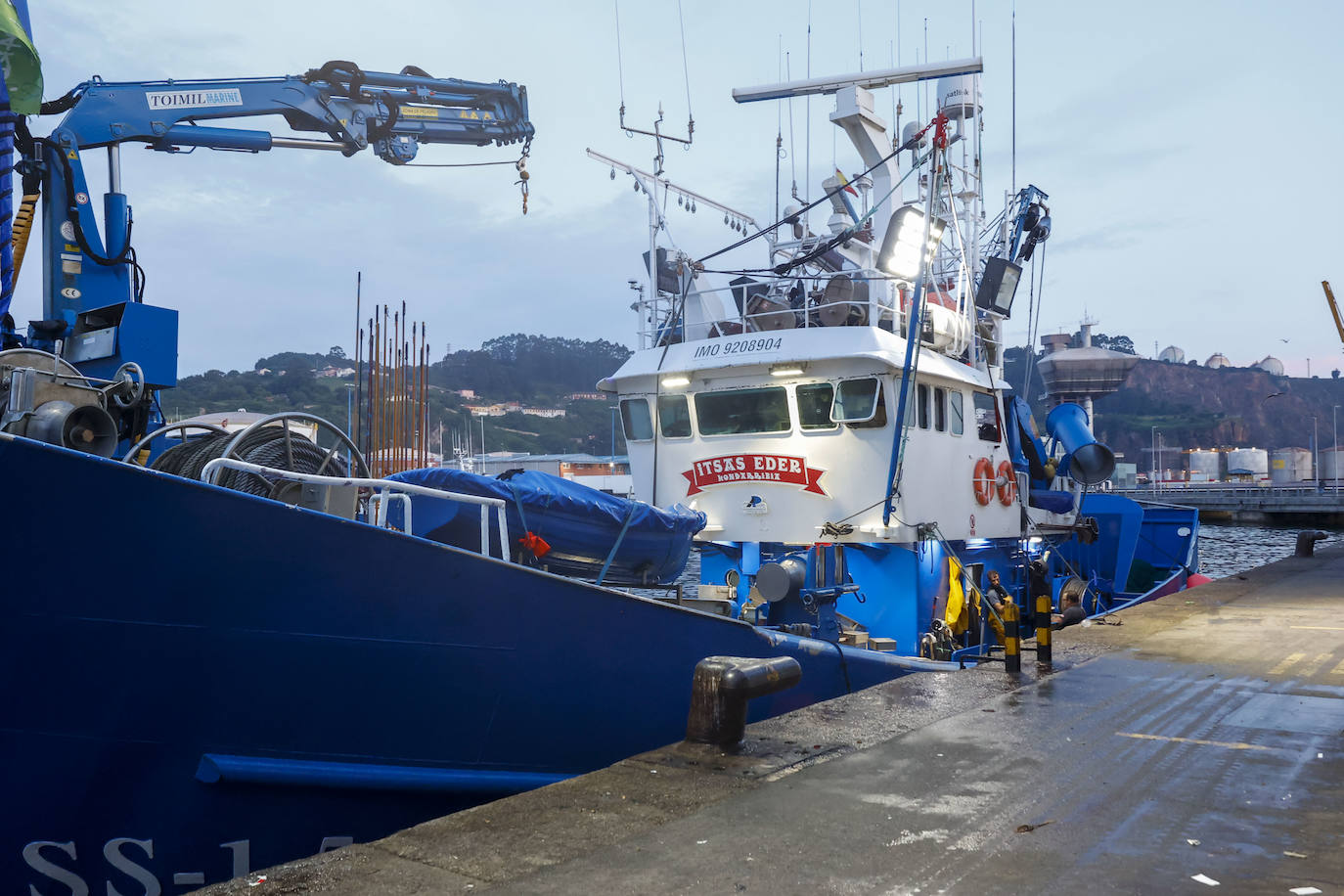 40.000 kilos en la primera gran subasta de bonito en la rula de Gijón