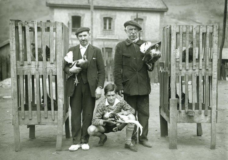 Lorenzo Cabeza. Esteban y Gabino, criadores de gallos de pelea, La Felguera (Langreo), h. 1930