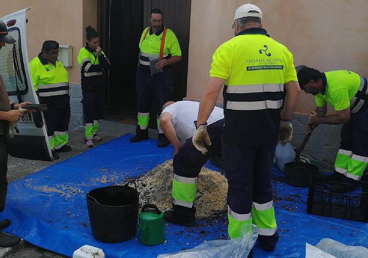 Taller de jardinería organizado por el Ayuntamiento.