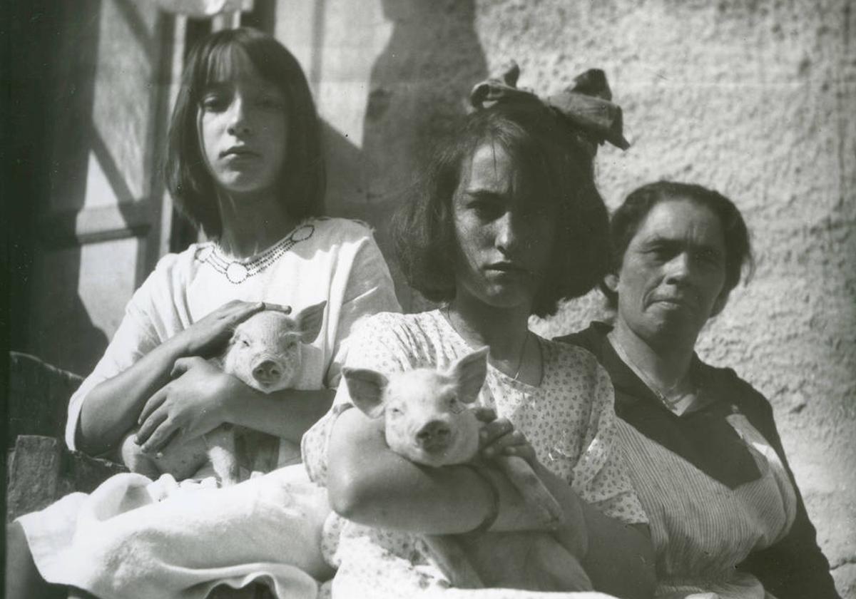 Fotos históricas de la relación de los asturianos con los animales