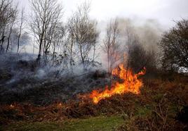 Un incendio en Ribera de Arriba.