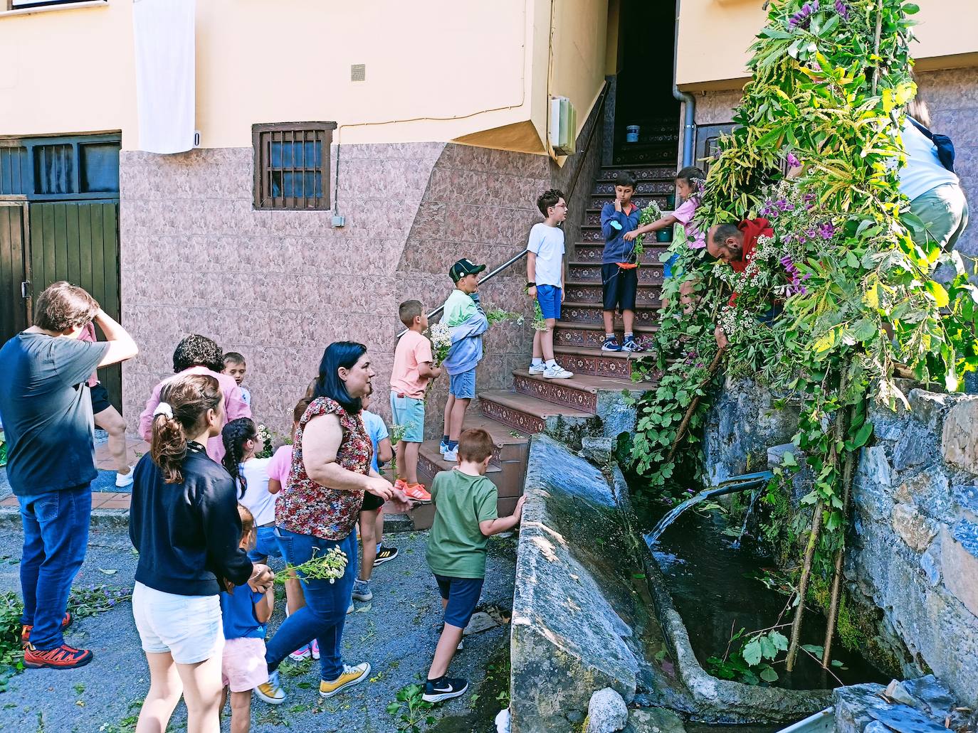 Limés enrama entre generaciones