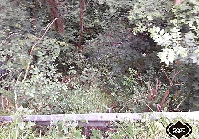 Terraplén por el que cayó el herido.