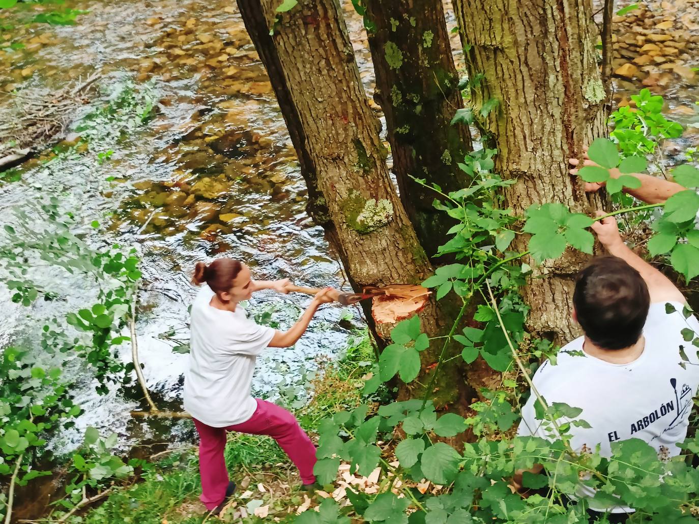 Así ha sido la festividad del arbolón en Cangas del Narcea