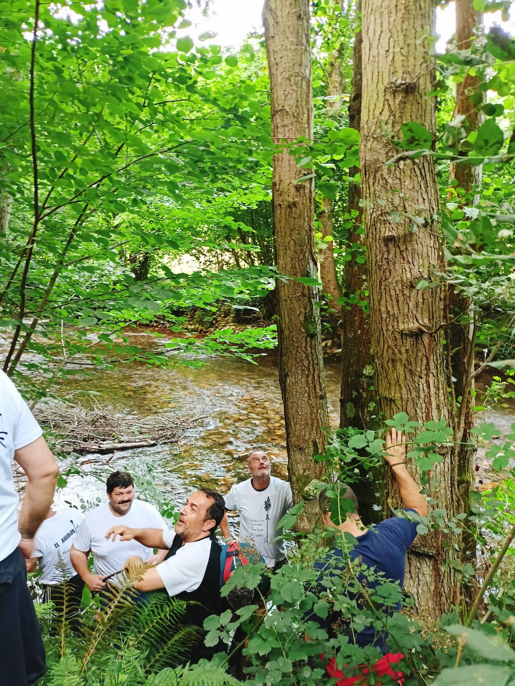 Así ha sido la festividad del arbolón en Cangas del Narcea