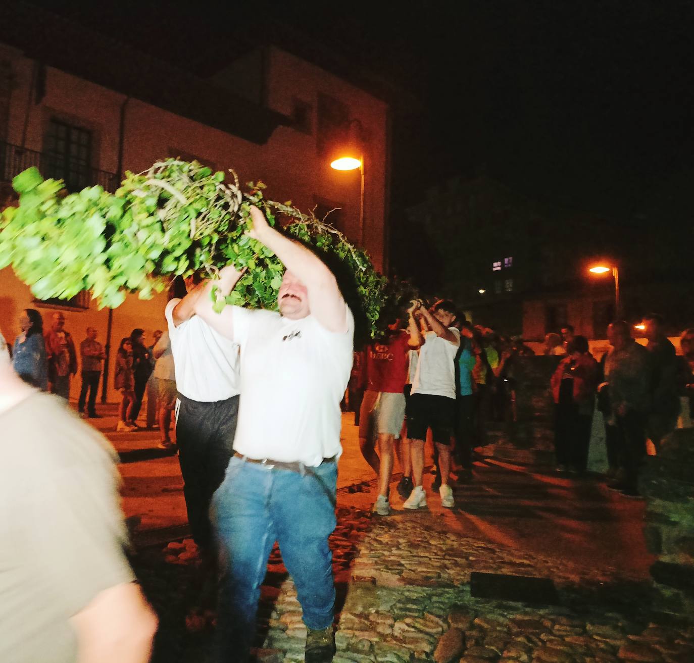 Así ha sido la festividad del arbolón en Cangas del Narcea